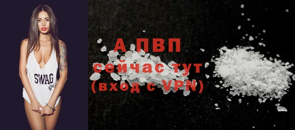 дмт Богданович