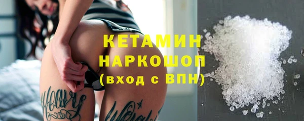дмт Богданович