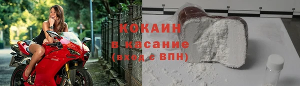 дмт Богданович