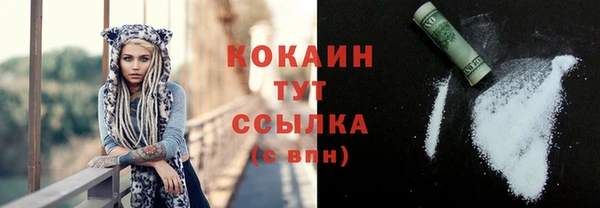 дмт Богданович
