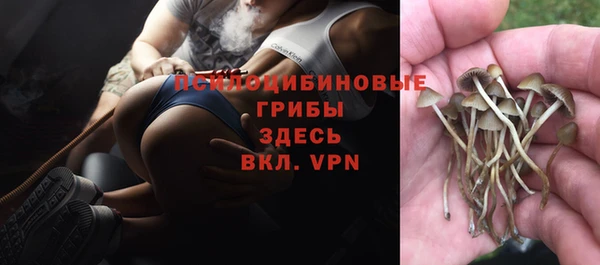 героин Богородицк
