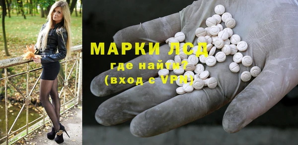 дмт Богданович