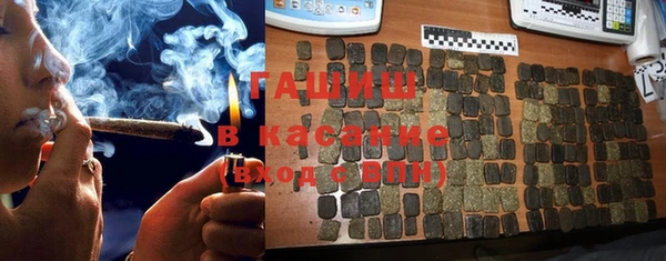 дмт Богданович