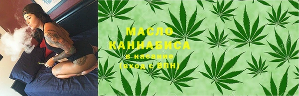 дмт Богданович