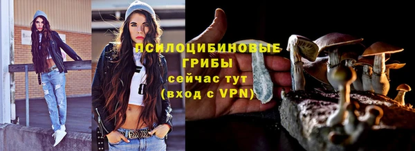 дмт Богданович